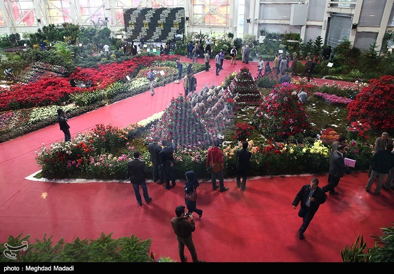 139307281337018303884214 زیباترین گل‌ها در نمایشگاه گل و گیاه تهران