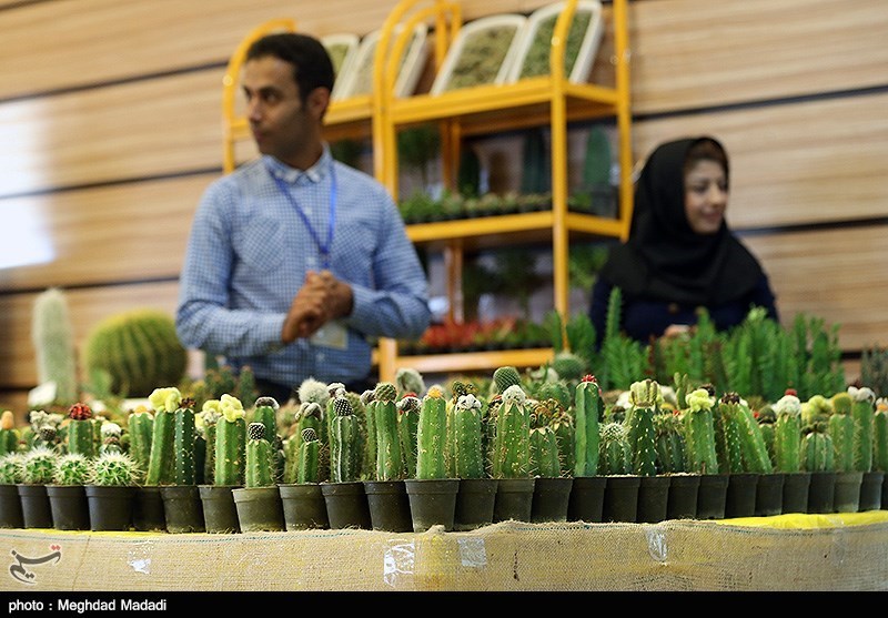 139307281337033283884214 زیباترین گل‌ها در نمایشگاه گل و گیاه تهران