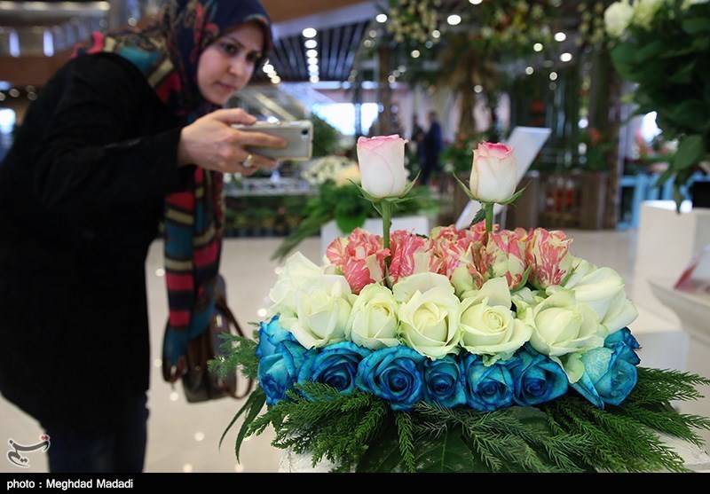 139307281337033753884214 زیباترین گل‌ها در نمایشگاه گل و گیاه تهران