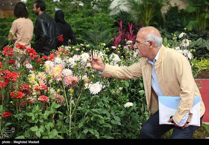 139307281337034533884214 زیباترین گل‌ها در نمایشگاه گل و گیاه تهران