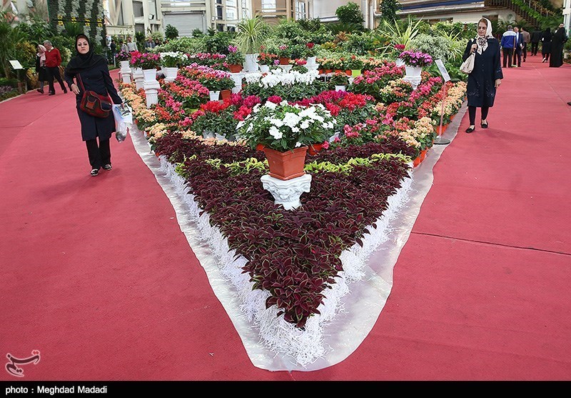 139307281337035463884214 زیباترین گل‌ها در نمایشگاه گل و گیاه تهران