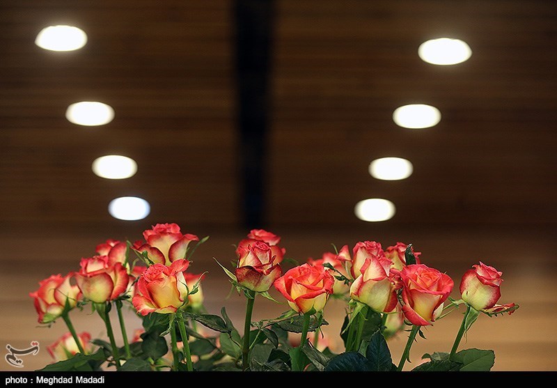 139307281337038273884214 زیباترین گل‌ها در نمایشگاه گل و گیاه تهران
