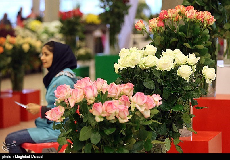 139307281337041393884214 زیباترین گل‌ها در نمایشگاه گل و گیاه تهران