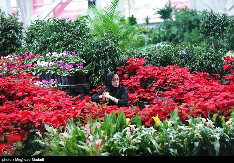 139307281337042333884214 زیباترین گل‌ها در نمایشگاه گل و گیاه تهران