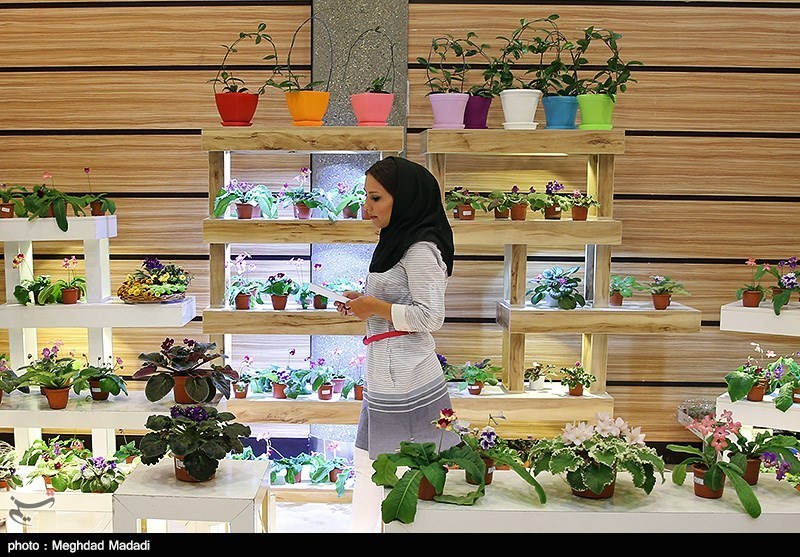 139307281337043113884214 زیباترین گل‌ها در نمایشگاه گل و گیاه تهران