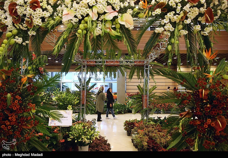139307281337044983884214 زیباترین گل‌ها در نمایشگاه گل و گیاه تهران