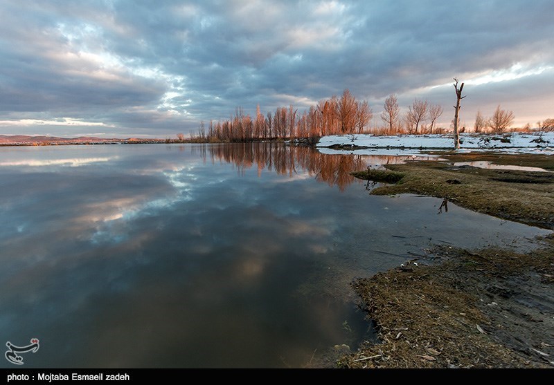 Wetlands around Lake Urmia - IN PHOTOS