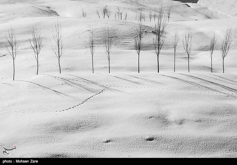 Ardabil's winter - IN PHOTOS