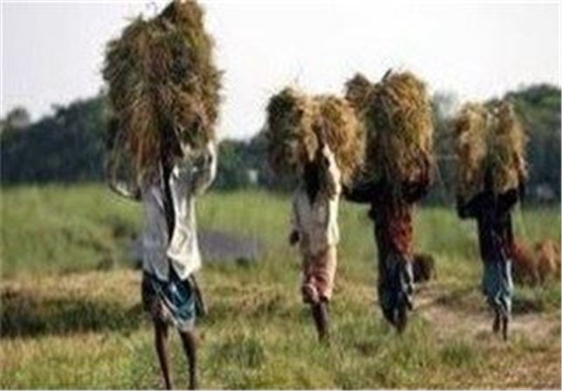 رفع تصرف از 220 متر از اراضی ملی در مشهد