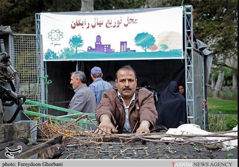 توزیع 50 هزار اصله نهال در میان نمازگزاران استان سمنان