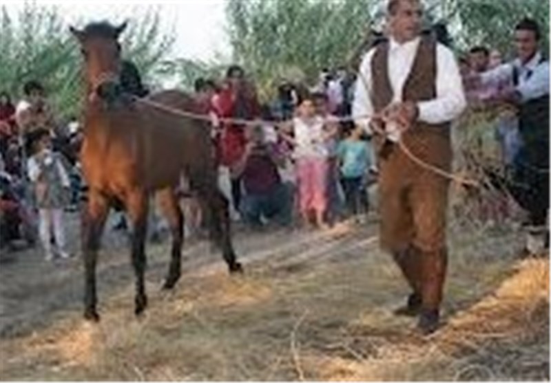 ترویج و اشاعه فرهنگ بومی از اهداف برگزاری جشن خرمن مازندران است