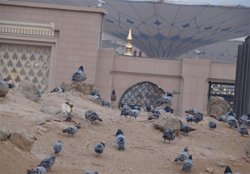 برگزاری نمایشگاه "کوچه‌های بنی‌هاشم" در امامزاده محمد شان‌آباد تویسرکان