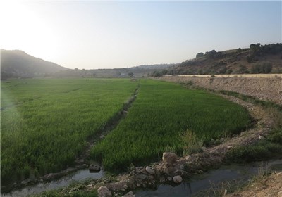 تخریب منابع طبیعی در حاشیه رودخانه بشار یاسوج