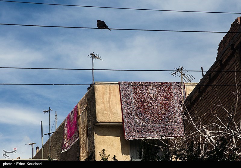 Persian carpet on walls IN PHOTOS