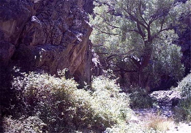 270 اثر تاریخی رشتخوار پذیرای مسافرین نوروزی+ تصاویر