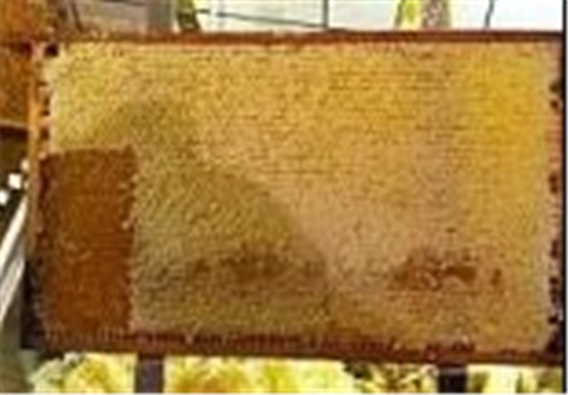 هشدار برای مصرف عسل به دیابتی ها