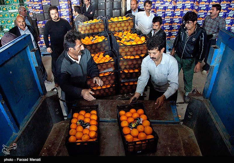 قیمت میوه دولتی متناسب با بازار همدان تعدیل می‌شود