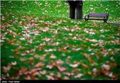 بارش باران پاییزی - پارک ملت تهران