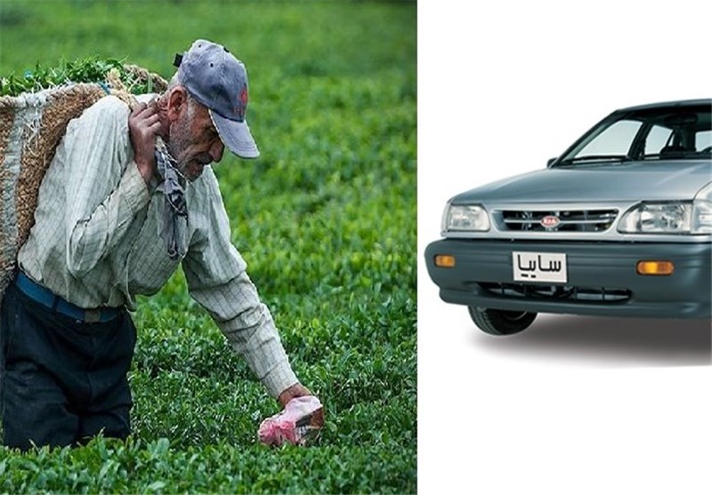 دولتی که خودروی قسطی می‌فروشد و چایکارانی که نان قسطی می‌خرند