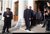 Iran’s Speaker Meets with French Senate Leader in Tehran
