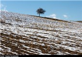 طبیعت برفی آذربایجان غربی