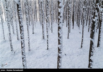 طبیعت برفی آذربایجان غربی