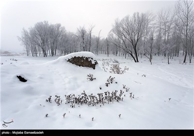 طبیعت برفی آذربایجان غربی