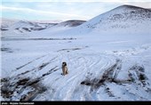 طبیعت برفی آذربایجان غربی