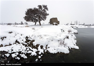 طبیعت برفی آذربایجان غربی