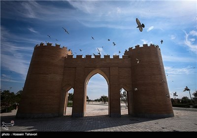 پرندگان باغ راه ایرانی در کیش