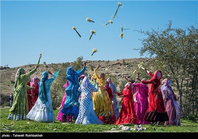 جشن نرگس روستای جره - فارس