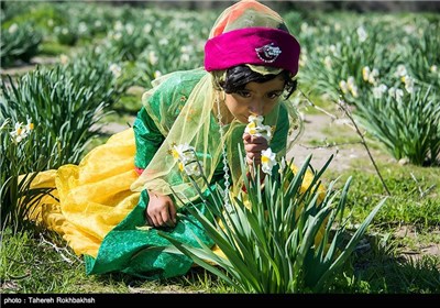 جشن نرگس روستای جره - فارس