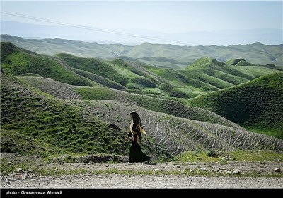 طبیعت منطقه خالد نبی در مازندران