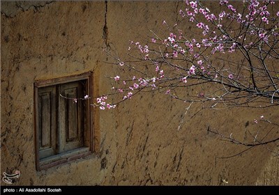 روزهای آخر اسفند در ماسوله