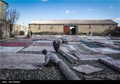 کارگاه قالیشویی در اراک