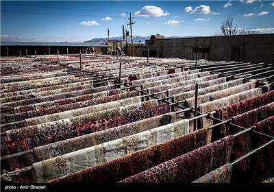 کارگاه قالیشویی در اراک