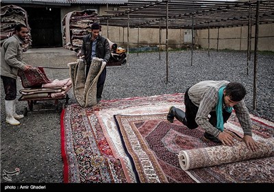 کارگاه قالیشویی در اراک