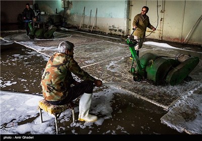 کارگاه قالیشویی در اراک