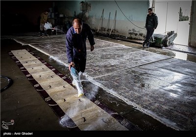 کارگاه قالیشویی در اراک
