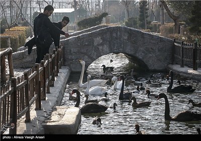 باغ پرندگان اصفهان