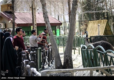 باغ پرندگان اصفهان