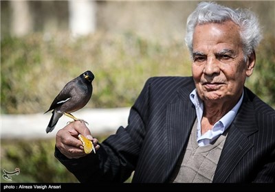 باغ پرندگان اصفهان