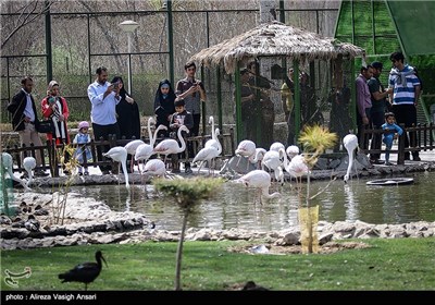 باغ پرندگان اصفهان