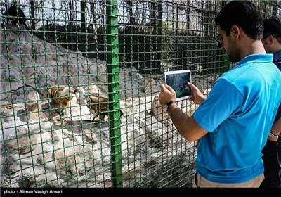 باغ پرندگان اصفهان