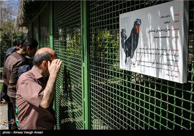 باغ پرندگان اصفهان