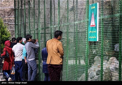 باغ پرندگان اصفهان