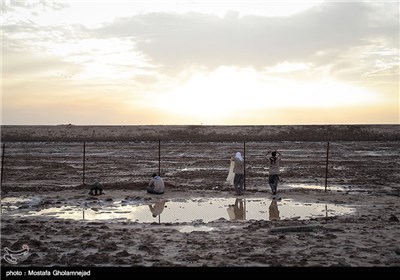 راهیان نور (1) - طلاییه