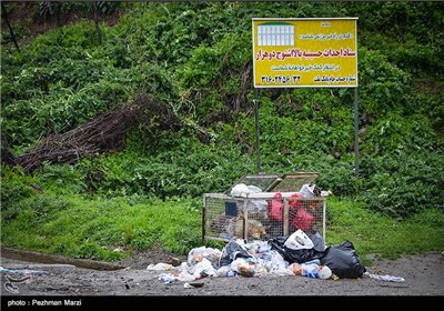 یادگاری های روز طبیعت - مازندران