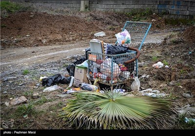 یادگاری های روز طبیعت - مازندران