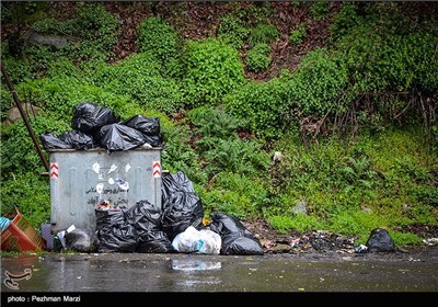 یادگاری های روز طبیعت - مازندران